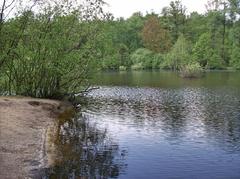 Eppendorfer Moor in Groß-Borstel, Hamburg