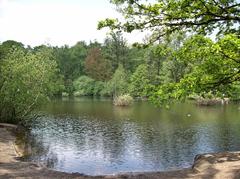 Eppendorfer Moor nature reserve in Hamburg