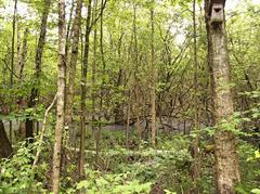 Scenic view of Eppendorfer Moor in Hamburg