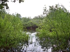 Eppendorfer Moor in Groß-Borstel, Hamburg