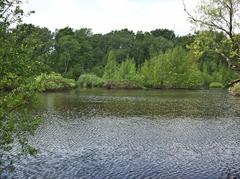 Eppendorfer Moor in Groß-Borstel with large water surface