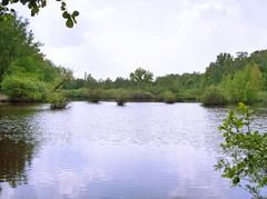 Eppendorfer Moor in Groß-Borstel, Hamburg with large water body