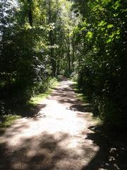 Eppendorfer Moor nature reserve in June 2014