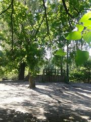 Eppendorfer Moor nature reserve with lush greenery and a tranquil water body