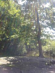 Eppendorfer Moor in summer with greenery and blue sky