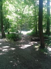 Eppendorfer Moor in summer 2014 with trees and greenery