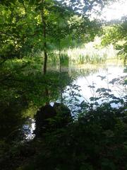 Scenic view of Eppendorfer Moor with lush greenery and a meandering path