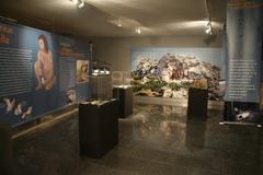 Exhibition 'Benzú and the origins of Ceuta' at the Late Roman Basilica Museum in Ceuta