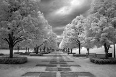 Nelson-Atkins Museum of Art in Kansas City