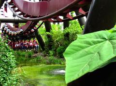 Nemesis Inferno roller coaster vertical loop at Thorpe Park