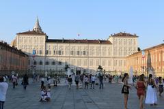 view of Torino city with the Alps in the background