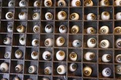 Interior of the Museum of the History of Science showcasing various eye models