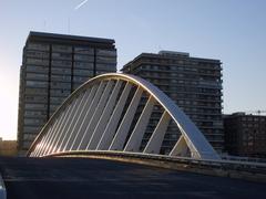 Puente de Calatrava in Valencia, Spain