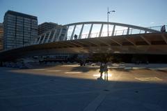 Alameda Bridge panoramic view