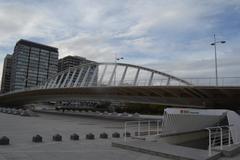 Pont de l'Exposició in Valencia