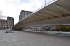 Pont de l'Exposició bridge in València