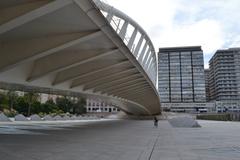 Pont de l'Exposició bridge in València