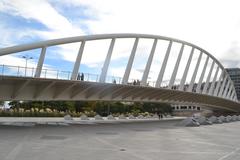 Pont de l'Exposició bridge in Valencia