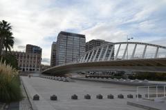 Pont de l'Exposició bridge in Valencia