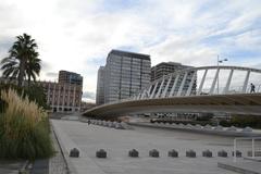 Pont de l'Exposició in València