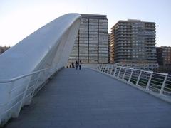 Calatrava Bridge in Valencia, Spain