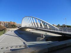 Pont de l'Exposicio bridge in Valencia at twilight