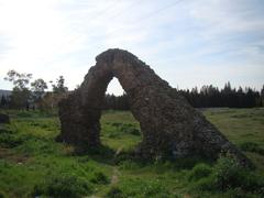 Ruins of the Roman Circus in Toledo, Spain