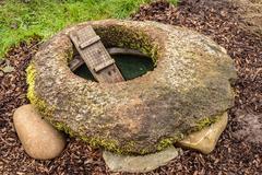 Water element for amphibians at De Kruidhof Buitenpost