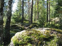 Centerpark Espoo in autumn