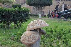 mushroom statues among soil and leaves with humans in the background