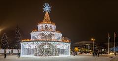 Christmas Tree on Cathedral Square in Vilnius