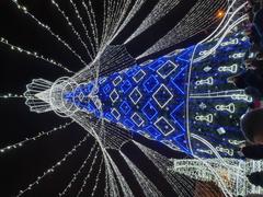 Christmas tree in Vilnius Cathedral Square 2019