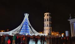 Christmas tree in Vilnius Cathedral Square, 2019