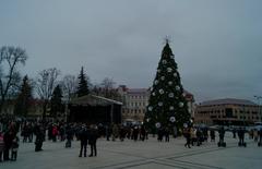 Christmas tree in Cathedral Square in Vilnius