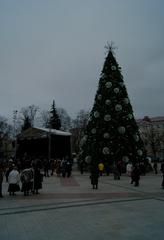 Christmas tree in Cathedral Square in Vilnius