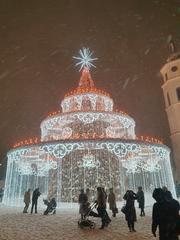 Christmas tree in Vilnius Cathedral Square 2022