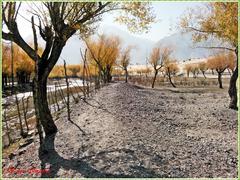 Beautiful picnic place near Skardu