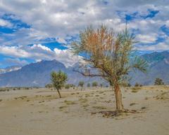 Cold Desert Katpana in Skardu with clear skies and sand dunes