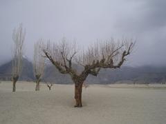 Kat Panah Desert in Skardu