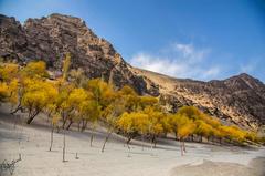 Organic village in Skardu