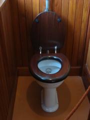 Thomas Crapper Toilet at Victor Horta Museum in Brussels