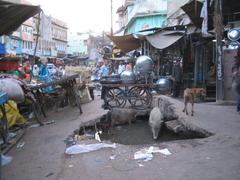 Sewer drains in Ajmer, India