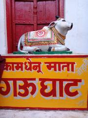 Kamdhenu cow statue in Ajmer, Rajasthan