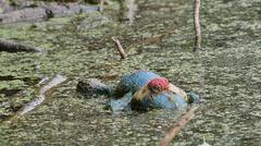 Abandoned Stuffed Animal on Sidewalk