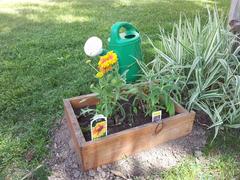 Butterfly garden using a reclaimed drawer