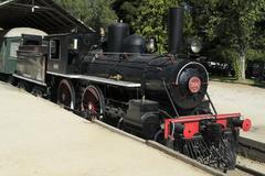 Type 20 steam locomotive in Parque Quinta Normal, Chile