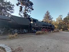 coal car and locomotive 1009