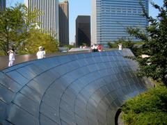 BP Bridge in Millennium Park designed by Frank Gehry