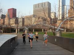 BP Bridge with Chicago skyline