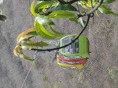 Cable Car in Udaipur